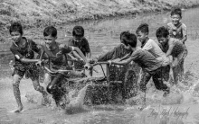 Bảo đảm Quyền con người được Đảng và Nhà nước Việt Nam thực hiện trên tất cả các lĩnh vực. Ảnh minh họa: Minh Lương.