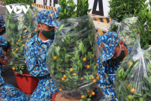 Mang Xuân sớm đến với đảo xa
