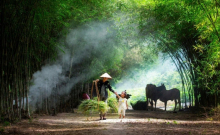Khói mùa hạ
