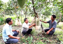 Nói đi đôi với làm