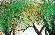 Truyện ngắn: Những chiếc lá