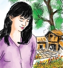 Truyện ngắn: Mùa bông vạn thọ