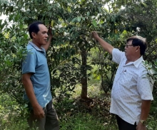 Chung sức xây dựng nông thôn mới kiểu mẫu