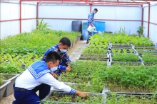 "Xanh hóa" và ước mong gần với đất liền của huyện đảo Trường Sa