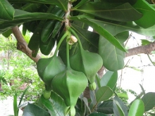 IMG 0333 2876e