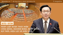 Đảm bảo pháp luật được thực hiện công bằng, nghiêm minh, nhất quán, kịp thời, hiệu lực và hiệu quả