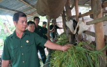 Hành trình học tập và làm theo lời Bác của cựu chiến binh TP Cần Thơ: Bài 2: Tỏa sáng phẩm chất “Bộ đội Cụ Hồ” trên mặt trận kinh tế