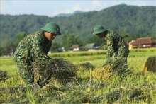 Làm thất bại chiến lược “diễn biến hòa bình” Cán bộ Quân đội “7 dám” là phẩm chất Bộ đội Cụ Hồ trong giai đoạn hiện nay