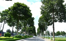 Tuyên truyền về chủ động ứng phó với biến đổi khí hậu, tăng cường quản lý tài nguyên và bảo vệ môi trường trên địa bàn thành phố Cần Thơ