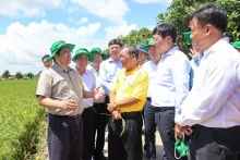 Vị thế nông nghiệp Việt Nam sau gần 40 năm tiến hành công cuộc đổi mới