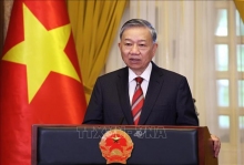 Vươn mình trong hội nhập quốc tế