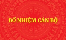 Đúng quy trình, đủ tiêu chuẩn - vì sao bổ nhiệm... vẫn sai? - Bài 1: Cán bộ vừa “cất cánh” đã... “rơi”