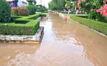 Thành phố Cần Thơ: Chủ động phòng ngừa, ứng phó, khắc phục hậu quả do thiên tai gây ra