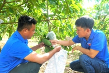 Đoàn phường Thới Long hỗ trợ đoàn viên, thanh niên khởi nghiệp, lập nghiệp