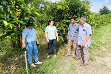 Phường Cái Răng có 89 mô hình Dân vận khéo được công nhận, tiếp tục nhân rộng