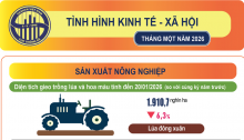 Infographic: Tình hình kinh tế – xã hội tháng 01 năm 2026