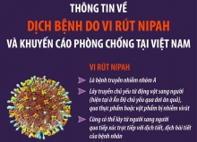 Infographic: Thông tin về dịch bệnh do virus Nippah