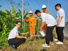 Lan tỏa “Ngày Chủ nhật xanh”, hưởng ứng Chiến dịch Giờ Trái đất năm 2026