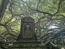 Kỳ thú thiên nhiên giữa miệt vườn Cần Thơ