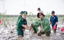 Cần Thơ: Phát động trồng 240 ngàn cây rừng, phục hồi hệ sinh thái ven biển