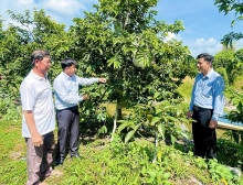 Sức lan tỏa từ những mô hình “Dân vận khéo” chăm lo cho đời sống Nhân dân xã Cờ Đỏ