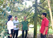 Gắn kết lòng dân, bảo vệ nền tảng tư tưởng của Đảng