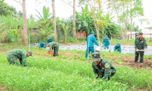 Triển khai Đề án nâng cao nhận thức về Quân đội tham gia lao động sản xuất, kết hợp quốc phòng với phát triển kinh tế - xã hội giai đoạn 2026 - 2030