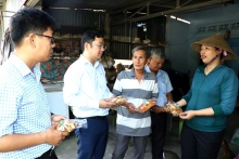 Bộ Chính trị ban hành Quy định 183 về quản lý biên chế của hệ thống chính trị