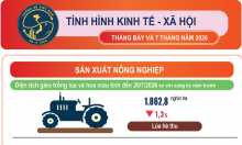 Infographic tình hình kinh tế – xã hội tháng Bảy năm 2026