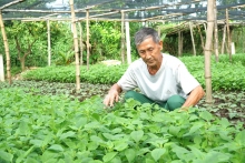 Cựu chiến binh đoàn kết giúp nhau giảm nghèo, nâng cao đời sống