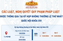 Infographic: Các luật, nghị quyết quy phạm pháp luật được thông qua tại Kỳ họp không thường lệ thứ Nhất, Quốc hội khóa XVI
