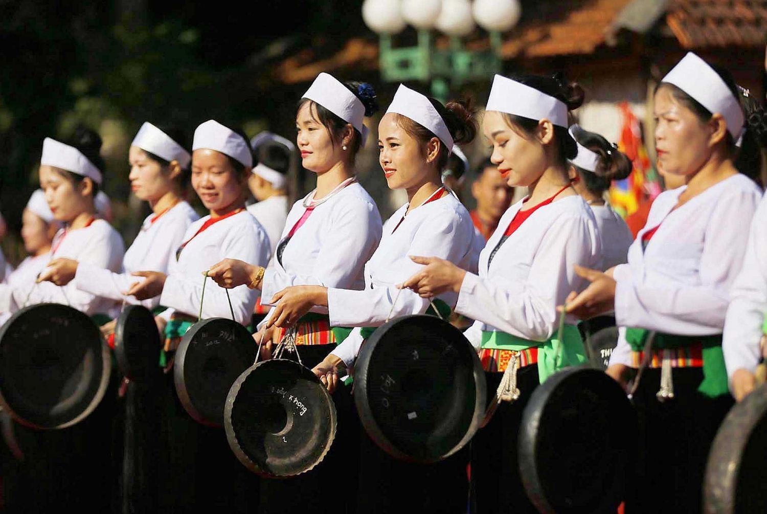 14 12 cogai
