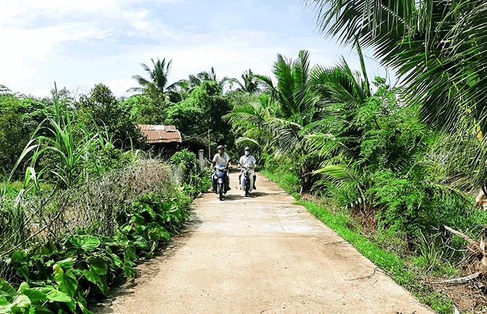 23 6 duong
