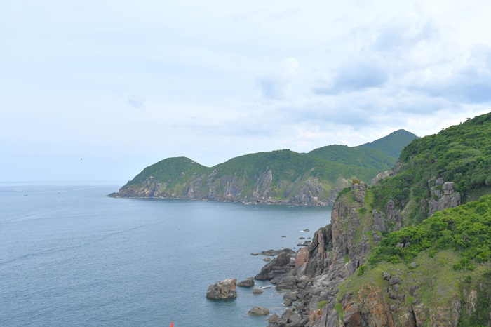 16 7 bien,dao