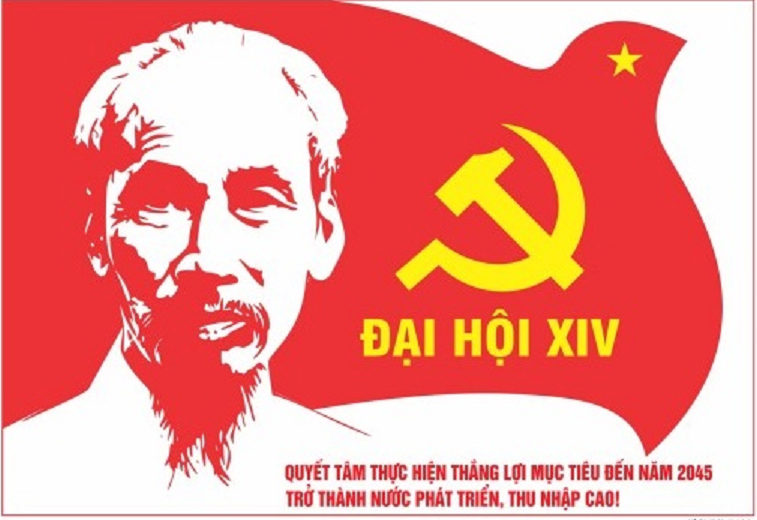 bac ho